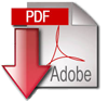 pdf-icon-100